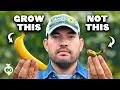 Lagu Watch This BEFORE You Grow Bananas 🍌