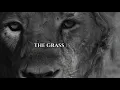 Don't waste time on fools | Watch this till the end