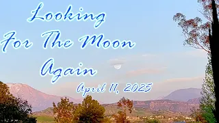 Looking For The Moon Again