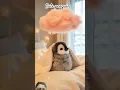 Download Lagu cute penguin #animals #cute #penguin #funny #pets #cuteanimals #fluffy #clouds #music