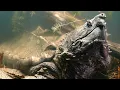 You Absolutely Don t Want to Get Bitten By This Turtle