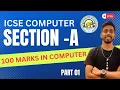 MCQ Computer Class 10 ICSE Crash course java 10