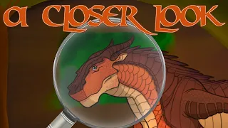 A closer look at MudWings Wings of Fire