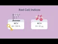 NP Learning - Overview of Anemias with SMNP Reviews