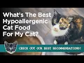 Best Hypoallergenic Cat Food - Food for Cats with Allergies Reviews and Guide