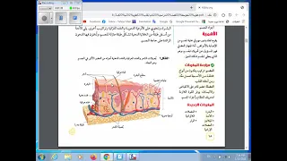 علوم 2م ف2 و1 د1 الجلد والعضلات 