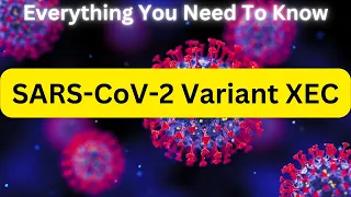 Understanding The New COVID Variant XEC SARS CoV 2 Variant XEC COVID XEC Variant 2024 