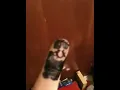 Squirmy the worm