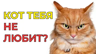 Признаки, что КОШКА ВАС НЕ ЛЮБИТ! Не игнорируйте их!