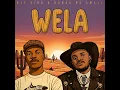 Wela