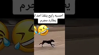اضحك من قلبك نكت جديد 2026 