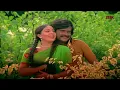 Download Lagu Kaaththodu Poovurasa | காத்தோடு பூவுரச | S. P. Balasubrahmanyam, P. Susheela | B4K Music