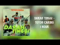 Download Lagu Toton Caribo - Darah Tinggi 1 jam / 1 hour [Chill in 1 Hour]
