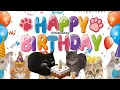 Happy Birt ay Song x Oiia Cat Maxwell Cat