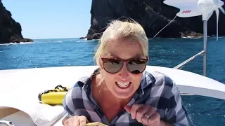 THE COOLEST THING we’ve EVER DONE! – Adventure 35 of sailing around the world