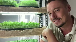 Ферма Зелени  Дома  на кухне : с чего начать и как все организовать