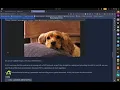 Upload Vulnerabilities TryHackMe WalkThrough Tasks 1-7