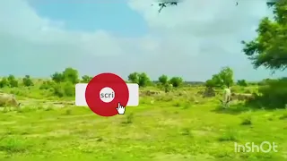 وري رحمان ٿيو راضي خوبصورت شاعري آواز بشير اڍيجو 