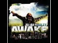 Julian Marley - Boom draw