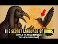 Download Lagu Als je DIT DOET, kun je met vogels praten | Thoths code om met het bos te communiceren