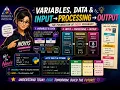 Variables Data Input Processing Output Programming Basics for Beginners