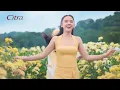 Download Lagu Inovasi Terbaru Citra dengan Bio-Peptide