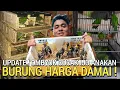 Download Lagu PASAR BURUNG ! KIOS PRAMUKA HARGA DAMAI CUCAK IJO ANAKAN BURUNG PASAR BURUNG PRAMUKA HARI INI 
