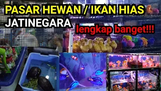 Download PASAR IKAN HIAS / HEWAN JATINEGARA MP3