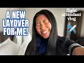 Download Lagu International Flight Attendant Vlog: can't believe this is my first time!