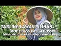 Download Lagu TARLING LAWAS PILIHAN 🎶BIKIN ADEM ENAK DI DENGAR SAMBIL KERJA DAN SANTAI🎶