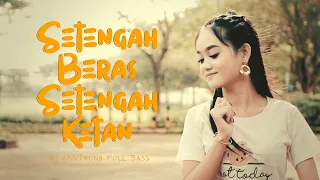 Download Safira Inema - Setengah Beras Setengah Ketan (Official Music Video ANEKA SAFARI) MP3