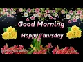 Happy Thursday Wishes Happy Thursday Whatsapp Status Happy Thursday Gifs Happy Thursday E-Card