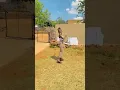 Download Lagu The new trend dance challenge amapiano #trend #amapiano #challenge #shorts #reels #tiktok