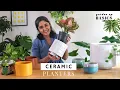 Buying Ceramic pots online or offline What you should know