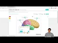 How to Use Quizlet to Study for the MCAT