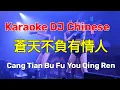 Lagu Karaoke DJ Chinese l 蒼天不負有情人 l Cang Tian Bu Fu You Qing Ren l Viethoa Karaoke