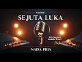 Download Lagu SEJUTA LUKA KARAOKE Nada Cowok