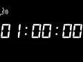 1 Hour Timer - 3600 Seconds Countdown Voiced