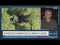 Brian Laundrie s cause of death under investigation NewsNation Prime