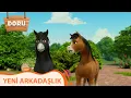 Yeni Arkadaslik Doru 15 Bolum
