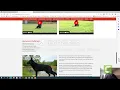 in dogs with example pedigree shown VonGontaHaus
