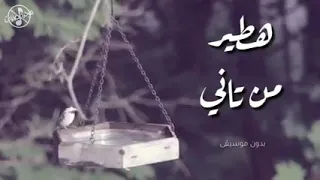 هطير من تاني    بدون موسيقى  لحمزه نمره دندنها