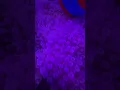 #BubblePlanetLondon #ImmersiveExperience #VRTechnology #Illusions #BallPits #Wembley #familyfun