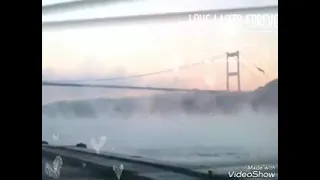 اليوم اجمل يوم الفنان محمد الشيخ 