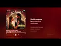 Yeshanagula - Anirudh Ravichander, Prabha Bangarigalla, Addula Jangireddy (Lyrics)