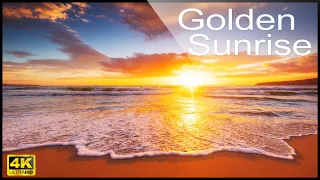 Download 4k Golden Sunrise on the Beach - Relaxing Ocean Waves Sounds and Seagulls - No Music MP3