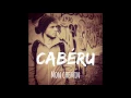 Mon chemin - Cabéru (Radio Edit)