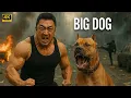 Download Lagu BIG DOG :  New Action Movie 2025 | Ma Dong-Seok | Full Movie | 4K Ultra #actionmovies