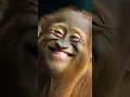 Mock #fypシ゚viral #fyp #foryou #foryoureels #tiktok #trendingshorts #trending #trend