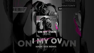 House Anatomy In My Own Mark Vox Remix Piano House 